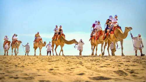 Gujarat Desert Beach Tour