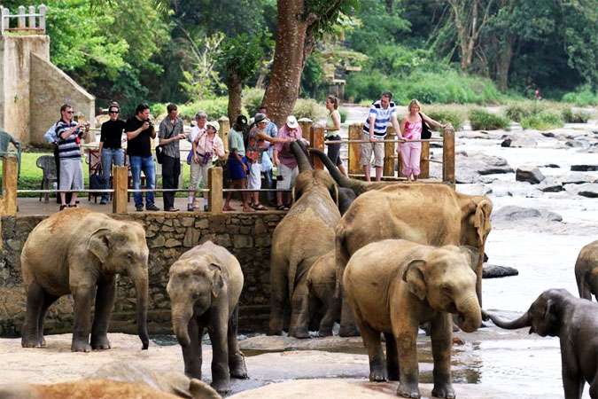 Nature Tour of Sri-Lanka