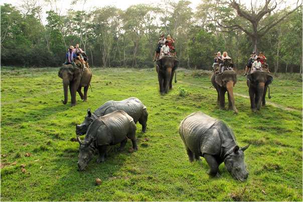 Paradise of Nepal Tour