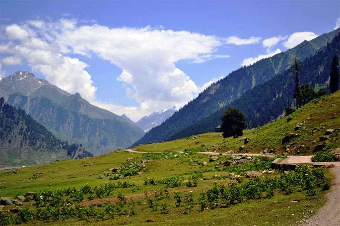 Bedazzling Kashmir